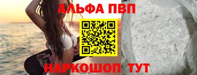 ешки Кингисепп