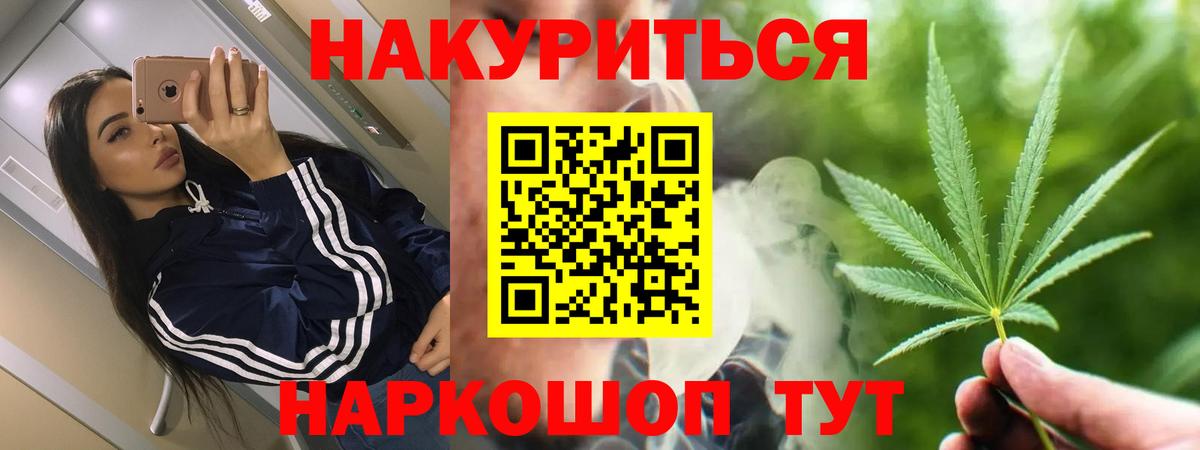 Каннабис сатива Одинцово